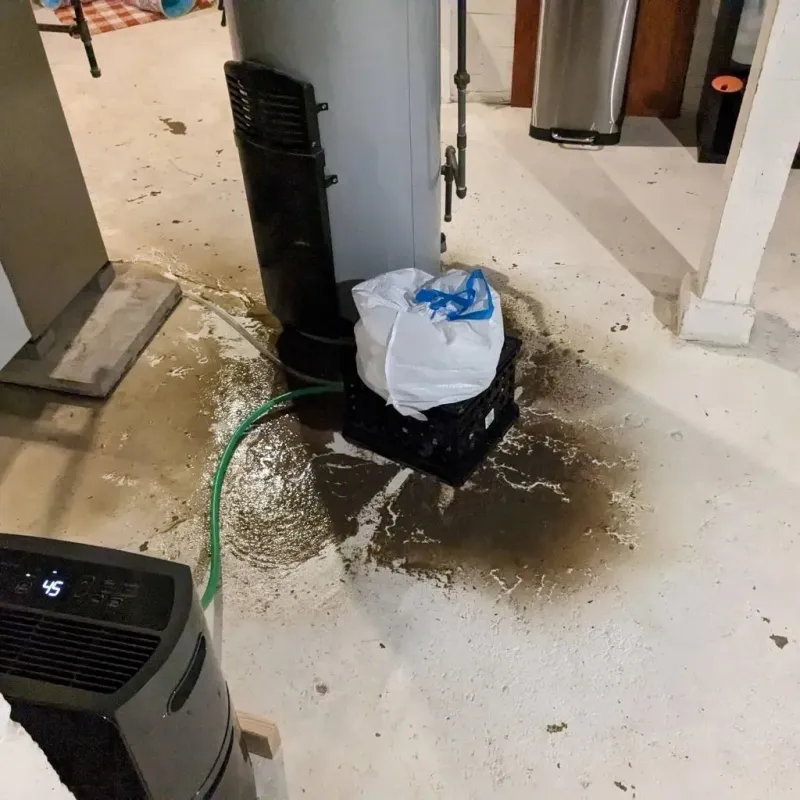 Sewage Backup Cleanup Service in Chaffee, MO